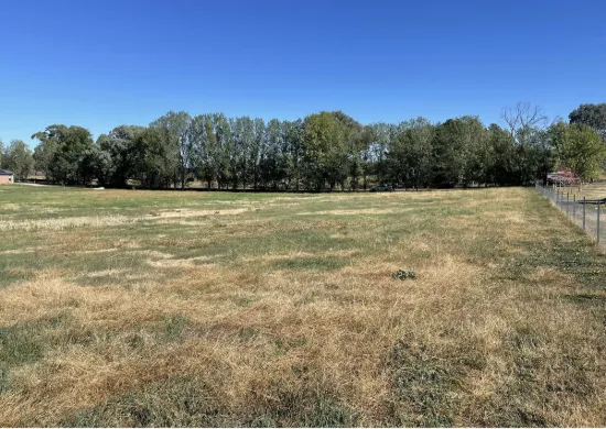 74 Killara Road, Cowra, NSW 2794