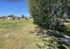 74 Killara Road, Cowra, NSW 2794-Image