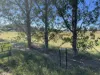 74 Killara Road, Cowra, NSW 2794-Image
