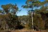 74 Mulwaree Drive, Tallong, NSW 2579-Image