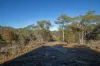 74 Mulwaree Drive, Tallong, NSW 2579-Image