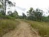 744 Old Esk North Road, Nanango, Qld 4615-Image
