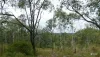 744 Old Esk North Road, Nanango, Qld 4615-Image