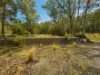 7485 Esk Main Rd, St Marys, Tas 7215-Image
