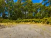 7485 Esk Main Rd, St Marys, Tas 7215-Image