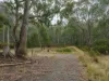 7485 Esk Main Rd, St Marys, Tas 7215-Image