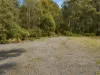7485 Esk Main Rd, St Marys, Tas 7215-Image