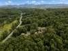 7485 Esk Main Rd, St Marys, Tas 7215-Image
