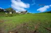 75 Collins Street, Brooklyn, Tas 7320-Image