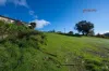 75 Collins Street, Brooklyn, Tas 7320-Image