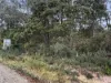 7548 Esk Main Rd, St Marys, Tas 7215-Image