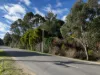 7548 Esk Main Rd, St Marys, Tas 7215-Image