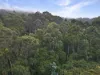 7548 Esk Main Rd, St Marys, Tas 7215-Image