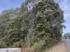 7548 Esk Main Rd, St Marys, Tas 7215-Image