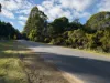 7548 Esk Main Rd, St Marys, Tas 7215-Image