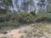 7548 Esk Main Rd, St Marys, Tas 7215-Image