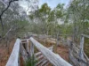 757 Gorge Road, Taunton, Qld 4674-Image