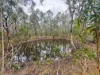 757 Gorge Road, Taunton, Qld 4674-Image