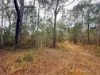 757 Gorge Road, Taunton, Qld 4674-Image