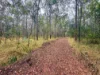 757 Gorge Road, Taunton, Qld 4674-Image