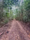 757 Gorge Road, Taunton, Qld 4674-Image
