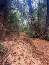 757 Gorge Road, Taunton, Qld 4674-Image