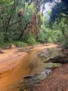 757 Gorge Road, Taunton, Qld 4674-Image