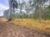 757 Gorge Road, Taunton, Qld 4674-Image