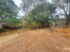 757 Gorge Road, Taunton, Qld 4674-Image