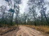 757 Gorge Road, Taunton, Qld 4674-Image