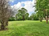 76-82 Serpells Road, Templestowe, Vic 3106-Image