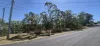 76 Campbell Drive, Kooralbyn, Qld 4285-Image