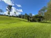 76 Chesterton Road, Guanaba, Qld 4210-Image