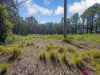 76 Northcove Road, Long Beach, NSW 2536-Image