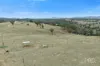 76 Ray Carter Drive, Quirindi, NSW 2343-Image