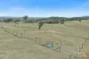 76 Ray Carter Drive, Quirindi, NSW 2343-Image