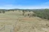 76 Ray Carter Drive, Quirindi, NSW 2343-Image