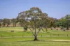 764 (Sec 2989) Flaxley Road, Flaxley, SA 5153-Image