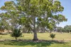 764 (Sec 2989) Flaxley Road, Flaxley, SA 5153-Image