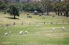 764 (Sec 2989) Flaxley Road, Flaxley, SA 5153-Image