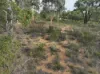 765 Bindoon-Dewars Pool Road, Dewars Pool, WA 6567-Image