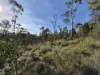 77 Grovenor Rise, Grove, Tas 7109-Image