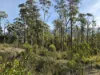 77 Grovenor Rise, Grove, Tas 7109-Image