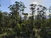 77 Grovenor Rise, Grove, Tas 7109-Image