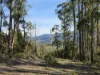 77 Grovenor Rise, Grove, Tas 7109-Image