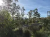 77 Grovenor Rise, Grove, Tas 7109-Image