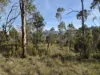 77 Grovenor Rise, Grove, Tas 7109-Image
