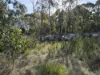 77 Grovenor Rise, Grove, Tas 7109-Image