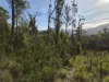 77 Grovenor Rise, Grove, Tas 7109-Image