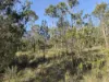 77 Grovenor Rise, Grove, Tas 7109-Image